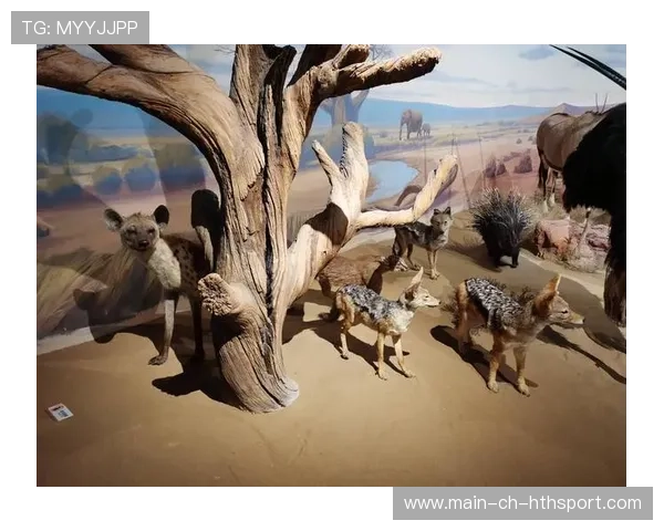 小贝林回应状态低迷：我会努力调整自己，贝林二小